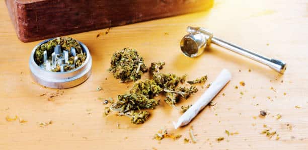 Cannabis